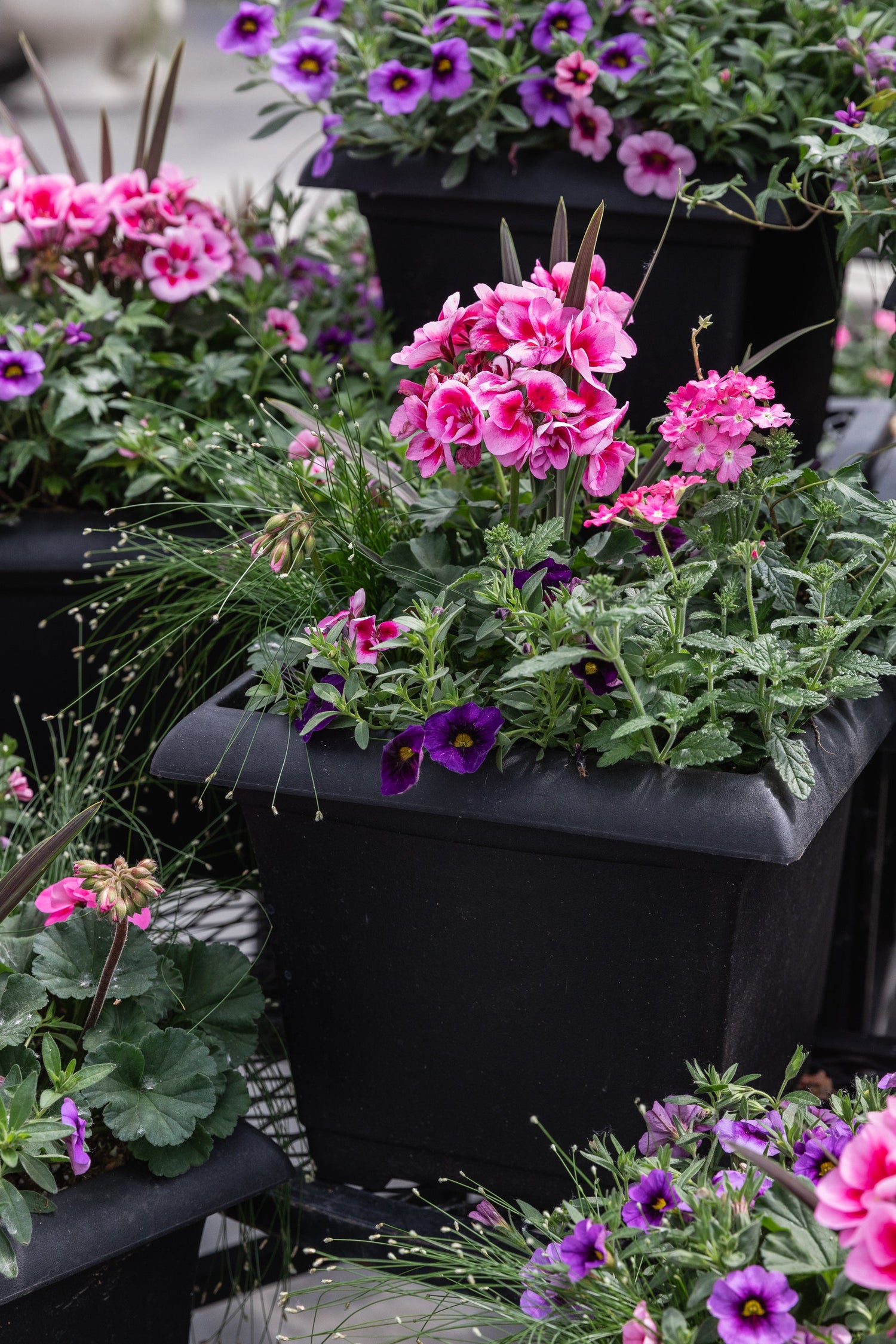 Outdoor Planters & Wicker Baskets