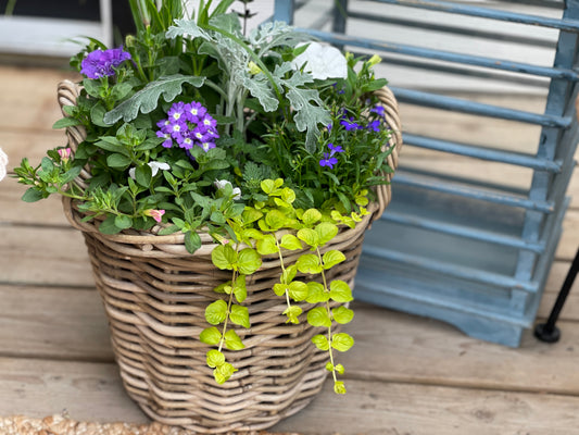 13" Wicker Basket with handles -Annuals Garden