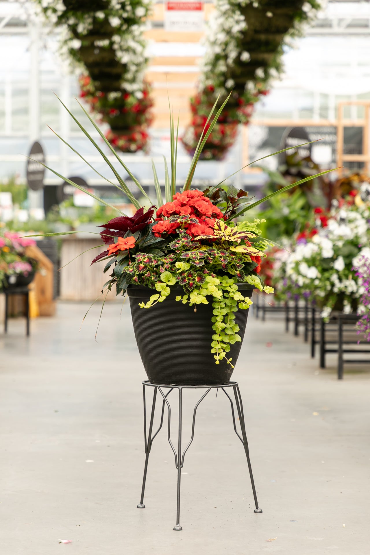 12" Annuals Garden in Black Round Plastic Pot