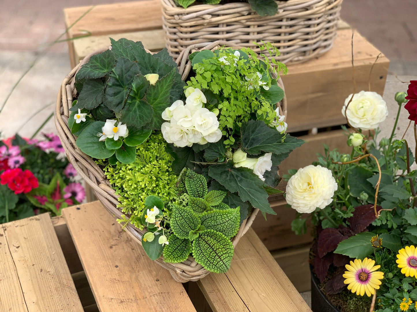 Annuals Garden in Wicker Heart