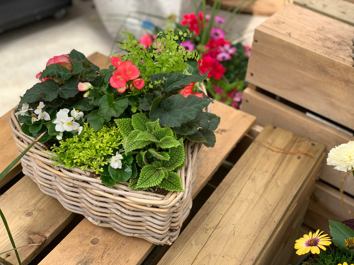 Annuals Garden in Wicker Heart