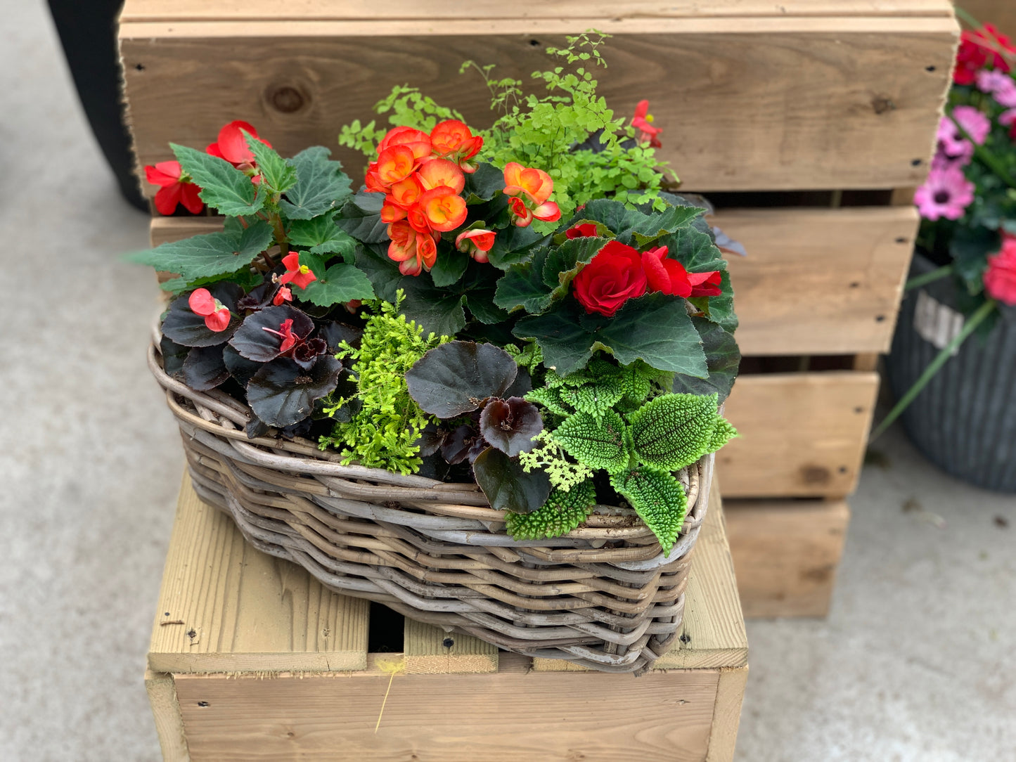 Annuals Garden in Wicker Heart